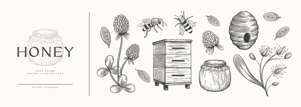 Hand-Drawn Beekeeping and Botanical Illustration with bees, hive, honey jar, and flowers. Ideal for beekeeping, nature, or organic-themed projects.