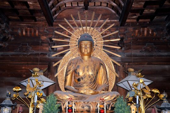 阿弥陀如来 Images – Browse 1,486 Stock Photos, Vectors, and Video