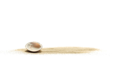 Obraz premium Sea shell in sand pile isolated on white, side view