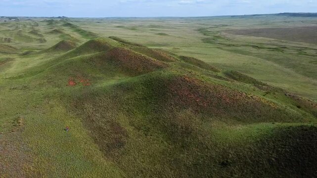 Aerial tracking shot of rolling green hills with red wild flowers sweeping across open prairie landscape at midday