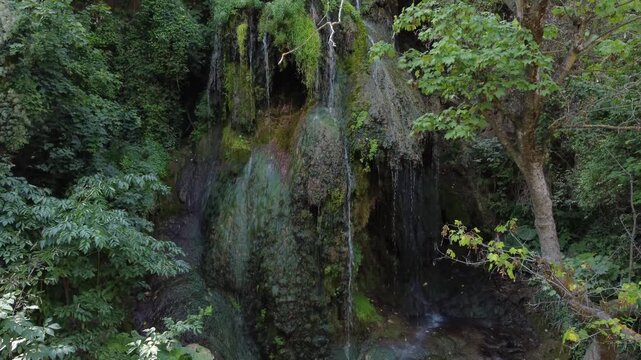 Panning shot of moss covered waterfalls trickling among trees in dense forest gorge and shaded stream pool