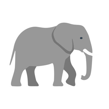 African elephant side view illustration with tusks for wildlife conservation banner and poster