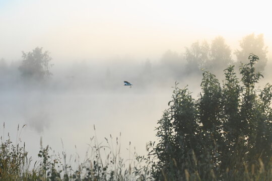morning fog on the river