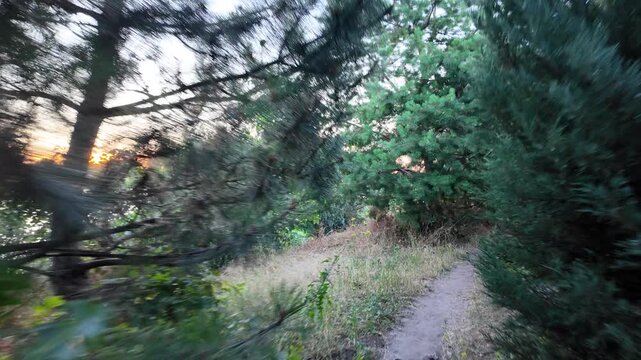 Walking down the scenic dirt path past dry summer grass and lush green trees toward a beautiful country house with a prominent red roof. Amazing cinematic stock shot in 4K 24fps with Motion Blur.