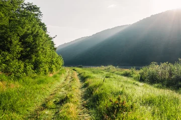 Sunlight filters through lush green trees, illuminating a winding path by the river at dawn in a gorgeous valley. Photo wallpapers. © Leonid Tit
