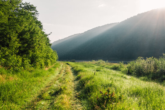 Sunlight filters through lush green trees, illuminating a winding path by the river at dawn in a gorgeous valley. Photo wallpapers.