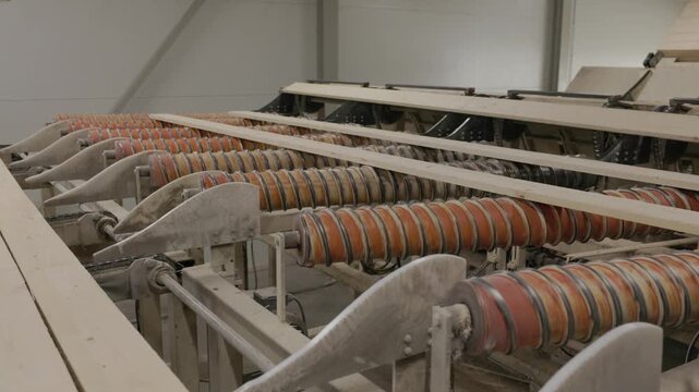 Fresh wooden planks travel across rollers and conveyors inside an automated lumber processing facility