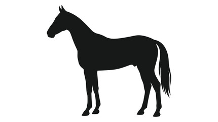Obraz premium Black Horse Silhouette. Elegant Stallion, Isolated on White Background.