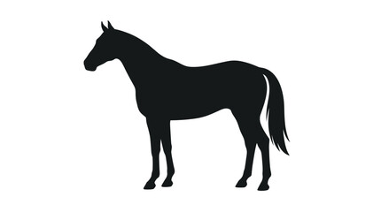 Fototapeta premium Black horse silhouette, elegant standing mare, equestrian symbol, simple graphic vector