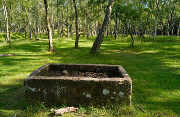 Fototapeta premium Discarded stone trough in Bolehill Quarry, Derbyshire.
