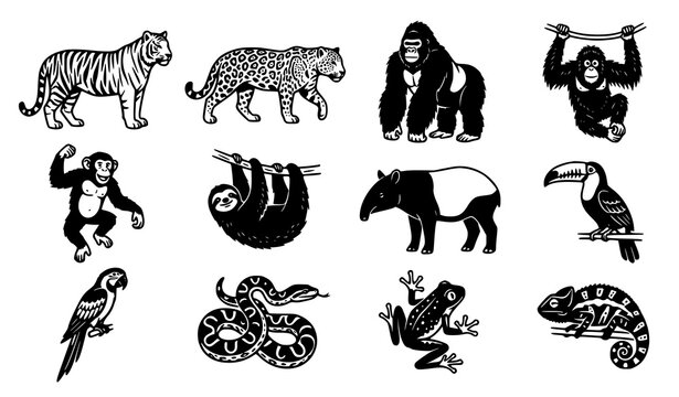 Tropical Rainforest Wildlife Icon Set with Tiger, Jaguar, Gorilla, Sloth, Toucan, and Exotic Jungle Animal Vector Illustrations