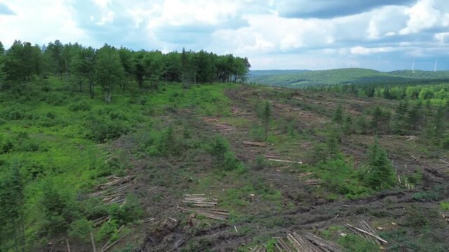 Flying over a deforested area