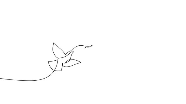 Birds And Love Symbol Continuous Line Art Animation For Freedom And Connection