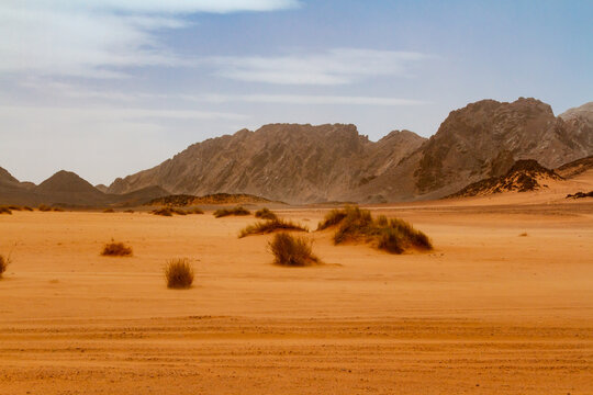 Tire tracks in the Reg Desert during the golden hour. The Tadrat Rouge mountains are in the background. Tassili n'Ajjer National Park, Algeria.