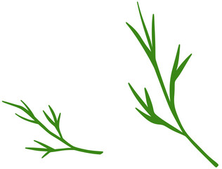 Obraz premium Fresh Rosemary Herb Illustration
