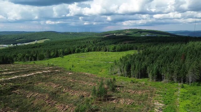 Flying over a deforested area