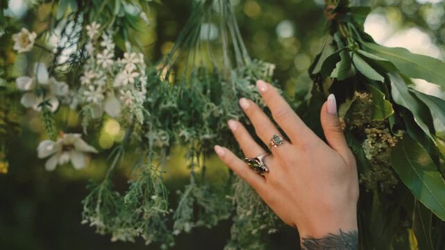 close-up woman hand with rings touching bunches of dry grass, elf girl dries medicinal herbs bouquets flowers plants for natural organic tea essential oil. green summer nature trees magic sun light.