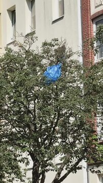 Umweltverschmutzung durch Plastik- Plastiksack in einer Baumkrone