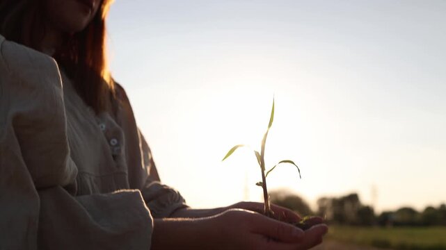 Food security depends on protecting every young seedling as woman carefully holds a growing plant promoting sustainable agriculture climate resilience and hope for future generations