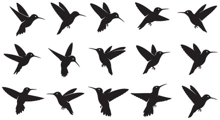 Hummingbird silhouettes in various flight poses against a white background © JOHIRUL_STUDIO
