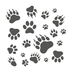 Fototapeta premium Collection of various animal paw prints in different sizes on white background