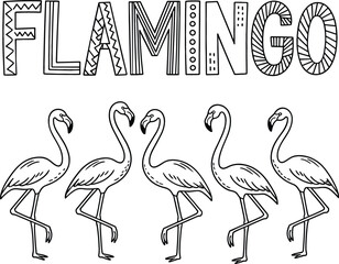 Obraz premium Flamingo Bird Coloring Page Black And White Line Art Vector Illustration With Lettering Design On White Background
