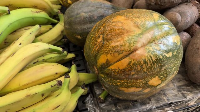 Bananas, mottled pumpkins and brown root vegetables lie side by side on a store rack in a tight produce display, useful for food market or healthy eating concepts.