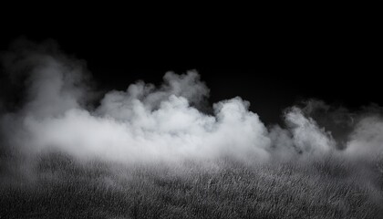 Fototapeta premium nature fog on black background