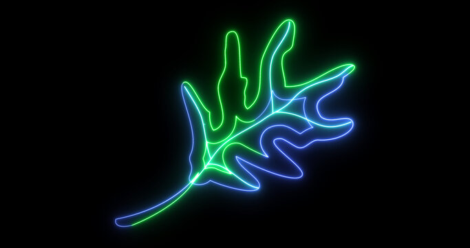 Glowing Neon Coral Branch Icon Animation on Black Background | Marine Reef Symbol Loop
