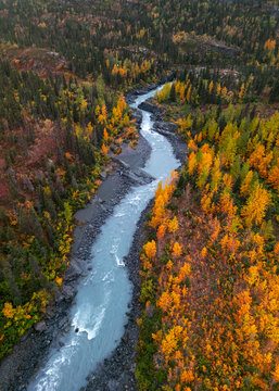Aerial view of a winding river flowing through a dense forest with vibrant autumn foliage and rocky banks in Seward, Alaska, United States.