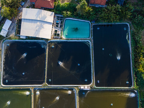 Aerial view of aquaculture shrimp ponds with aerators and water filtration systems in Kecamatan Ayah, Jawa Tengah, Indonesia.