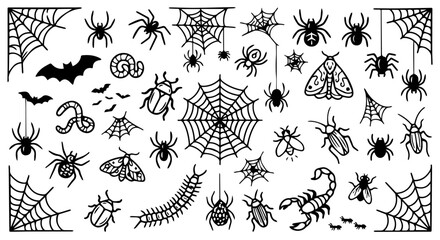 Hand drawn spooky insect vector collection, black ink spider and cobweb illustrations, creepy crawly bug and bat set for Halloween design © TXPHIC