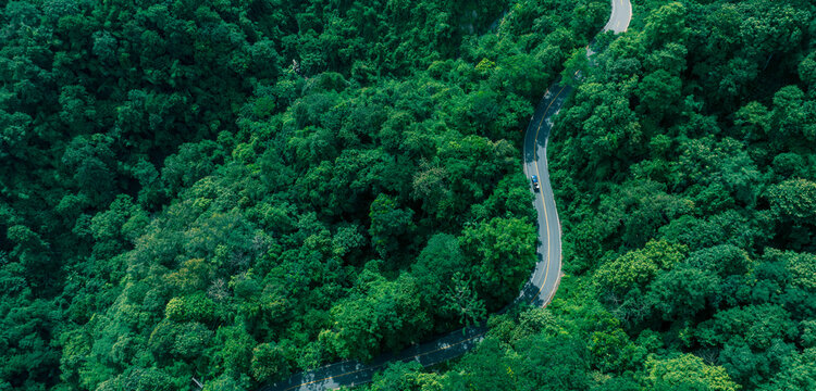 Scenic transportation corridor through dense forest canopy representing ecological balance, sustainable mobility, renewable energy transition, and ESG governance.