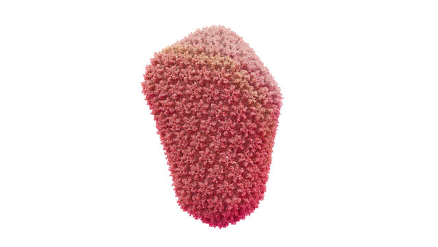 3D HIV-1 Capsid Fullerene Cone Shell, Scientifically Accurate Atomic-level Resolution 186 Hexamers 12 Pentamers via Cryo-EM, Pathogenic Retrovirus Human Immunodeficiency Virus 3d render 16 bit image.