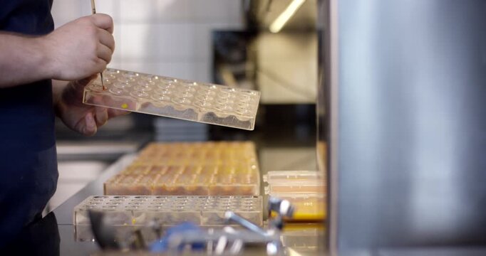Baker using a fine brush to apply colored glaze inside a chocolate mold tray