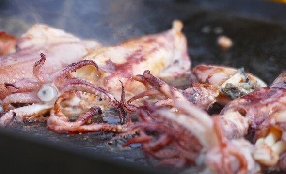 Fresh squid grilled on barbecue with smoke tasty seafood background