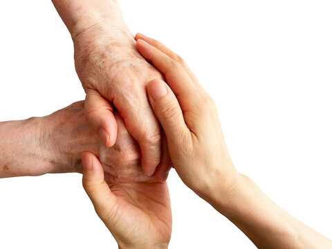 Young hands gently supporting elderly hands isolated on white background