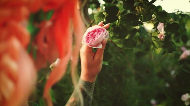Fantasy person with red hair back view holding touching pink tea rose flower bud in serene outdoor garden trees bush natural green, fairy elf woman herbalist healer examines plants with love care calm