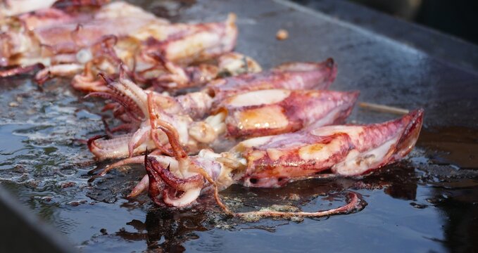Fresh squid grilled on barbecue with smoke tasty seafood background