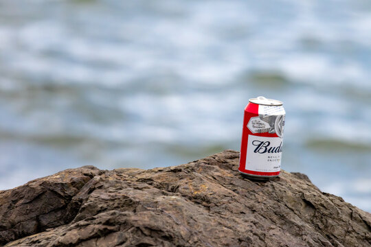 Quebec, Canada, 20 June 2026 : A red and white Budweiser beer can sits on a textured rock by a body of water.