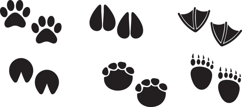 Animals footprint tracks. Paw prints, feet and claws eagle, raccoon and fox, deer and frog, duck and elephant penguin and chicken horse, hedgehog bear sheep cat dog stamp. Black foot trace vector set