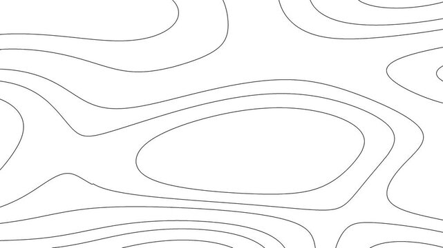 abstract background vector & curve line animation 
