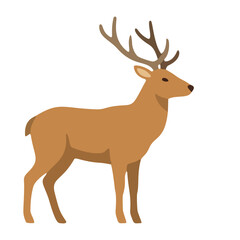 Fototapeta premium Male red deer stag with large antlers standing side view graphic for forest wildlife merchandise