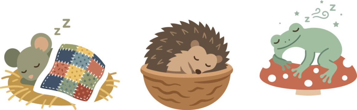 Cute sleeping animals illustration set with a mouse, hedgehog, and frog in flat vector style