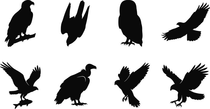 Birds of prey silhouettes set featuring eagle falcon hawk owl vulture and osprey icons for wildlife nature design concepts