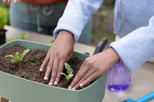 African mature and teenage females planting seedlings in green planter on beige table using trowel