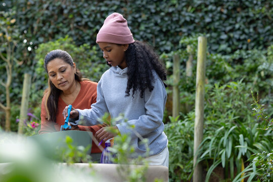 African American woman helping youth gardening at yard raised bed using blue shears, purple sprayer