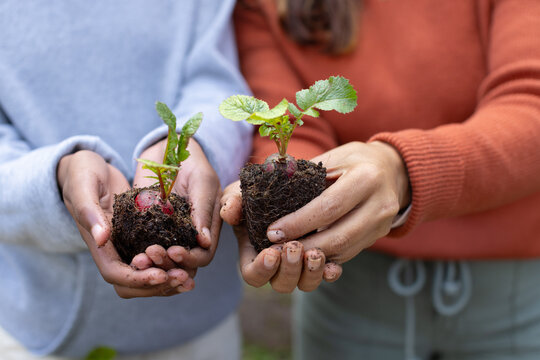 African American mother and teen daughter holding seedlings with red bulbs in backyard, hands dirty
