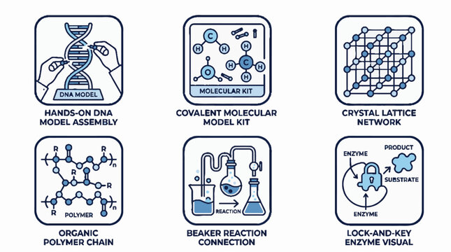 Set of six scientific icons featuring DNA assembly molecular structures crystal lattice polymer chains chemical reactions and enzyme lock and key models