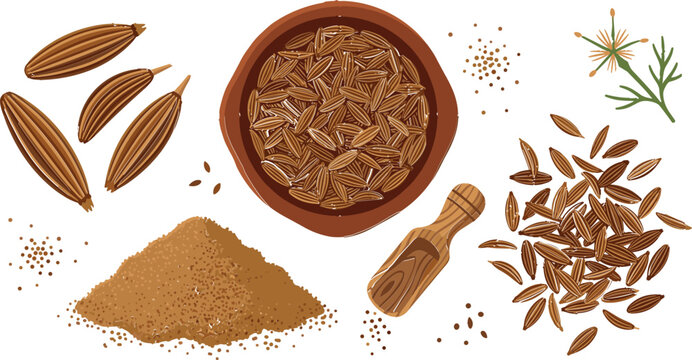 Cumin seeds vector sticker set with ground spice powder clay bowl wooden scoop and herbal flower element on white background